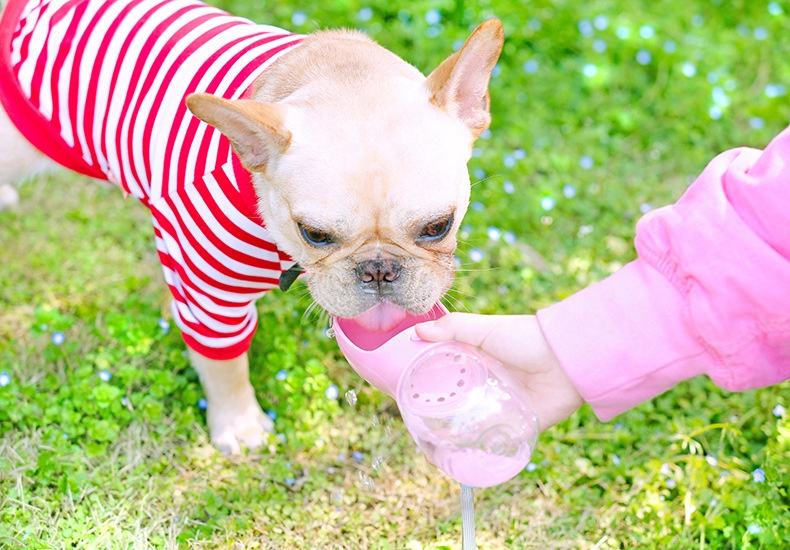 Travel-Friendly Dog Water Bottle™